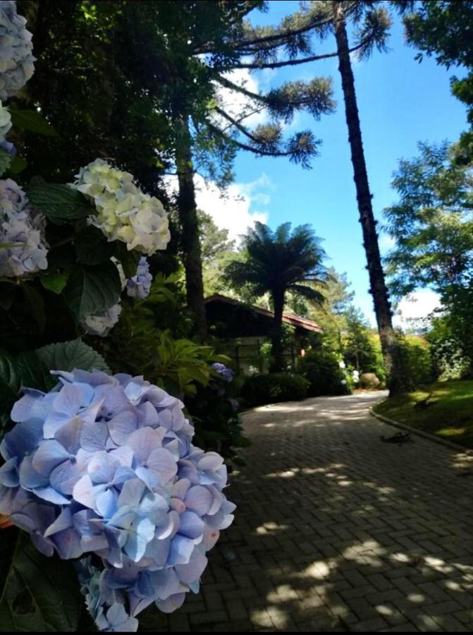 Casa Goldoni Gramado Villa Exterior photo